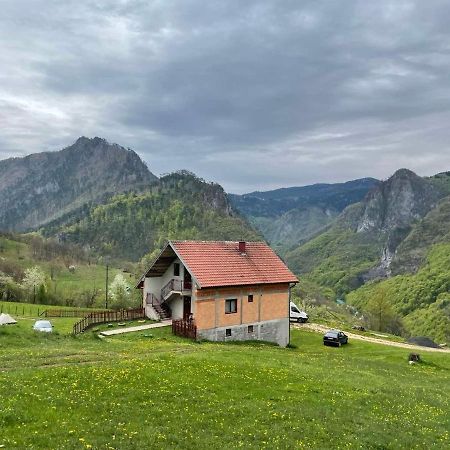 Family Owned Self Sufficient Eco Farm Tara Hotel Pljevlja Kültér fotó