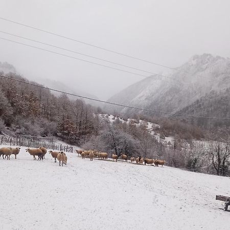 Family Owned Self Sufficient Eco Farm Tara Hotel Pljevlja Kültér fotó