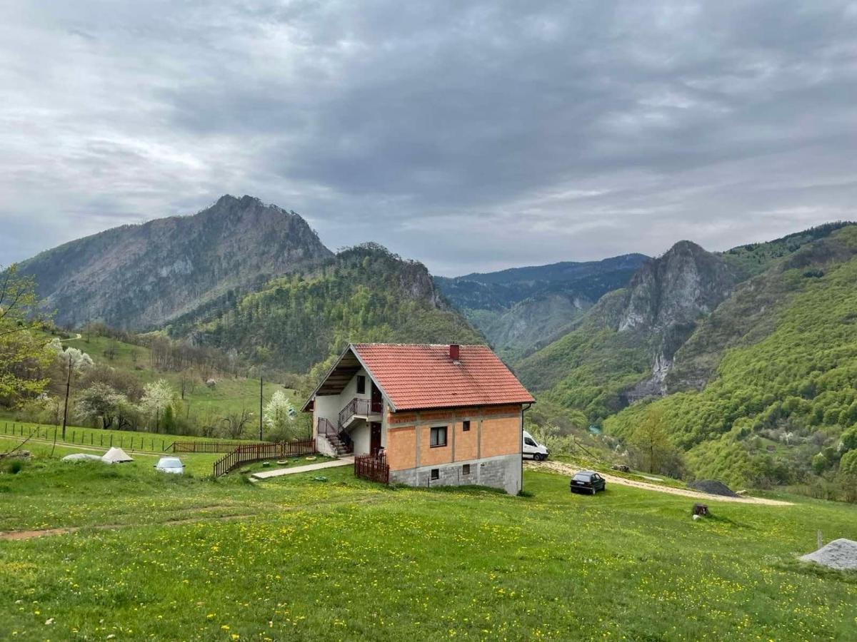 Family Owned Self Sufficient Eco Farm Tara Hotel Pljevlja Kültér fotó
