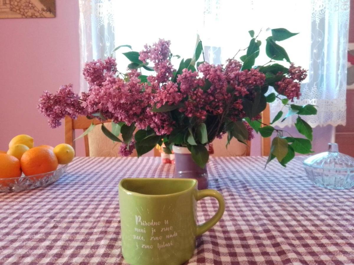 Family Owned Self Sufficient Eco Farm Tara Hotel Pljevlja Kültér fotó