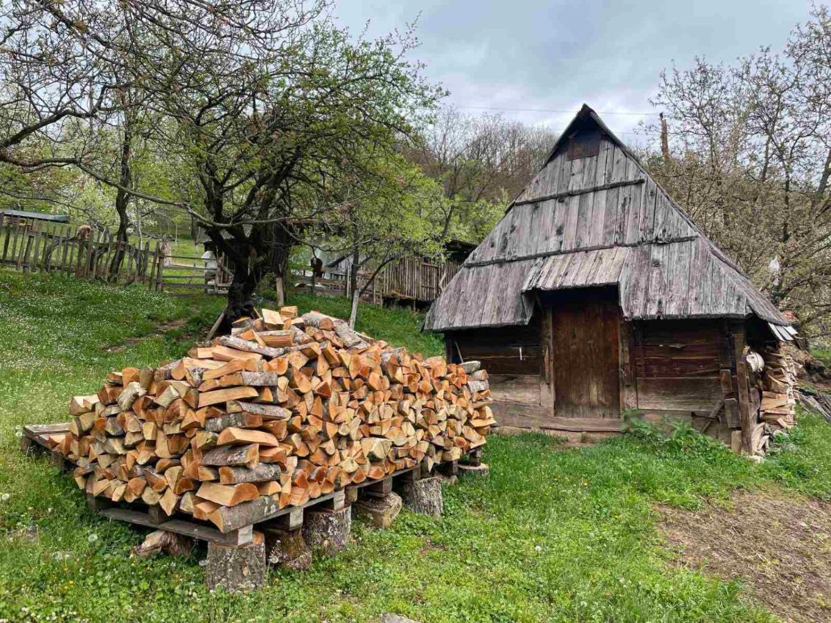 Family Owned Self Sufficient Eco Farm Tara Hotel Pljevlja Kültér fotó