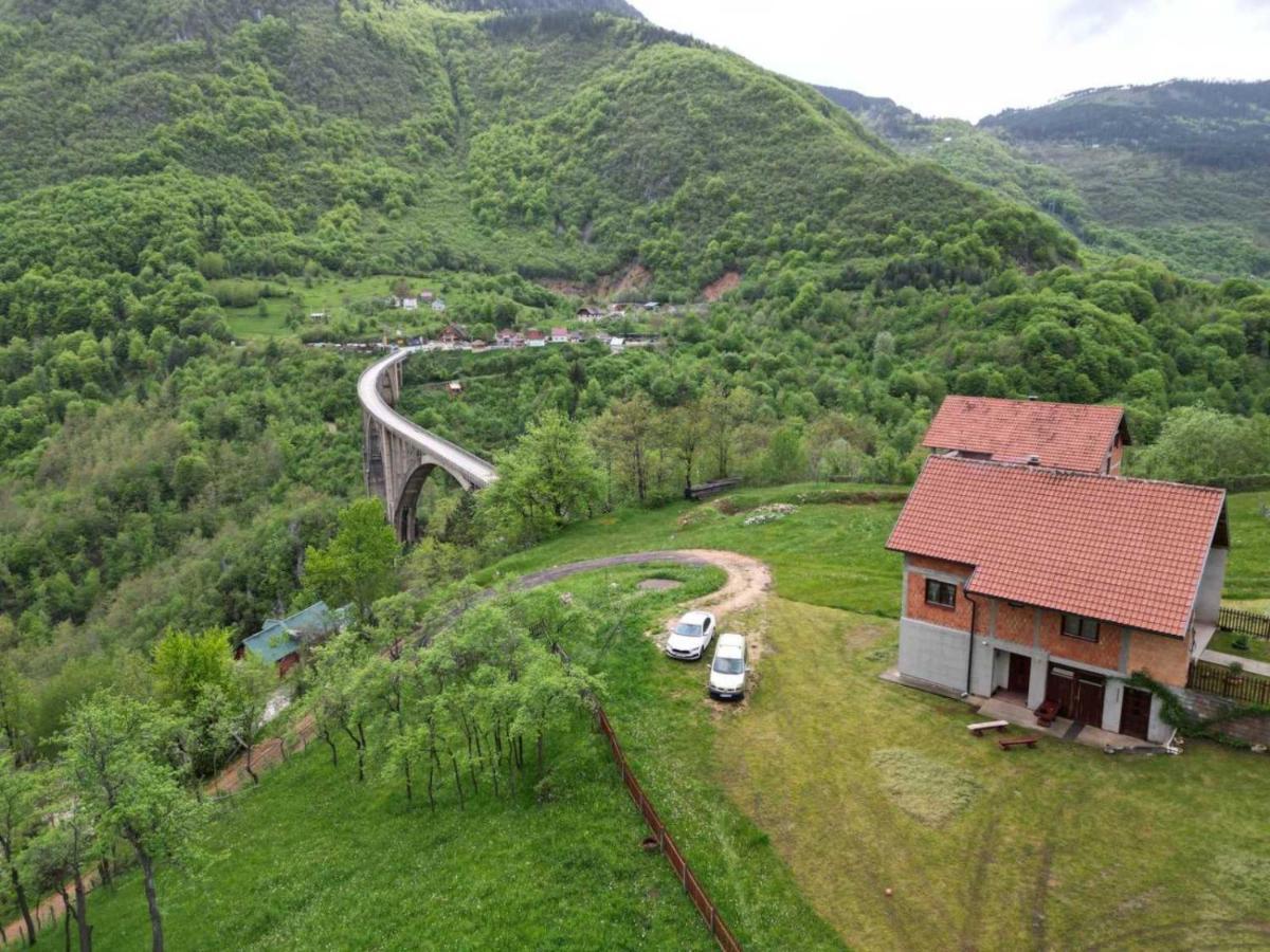Family Owned Self Sufficient Eco Farm Tara Hotel Pljevlja Kültér fotó