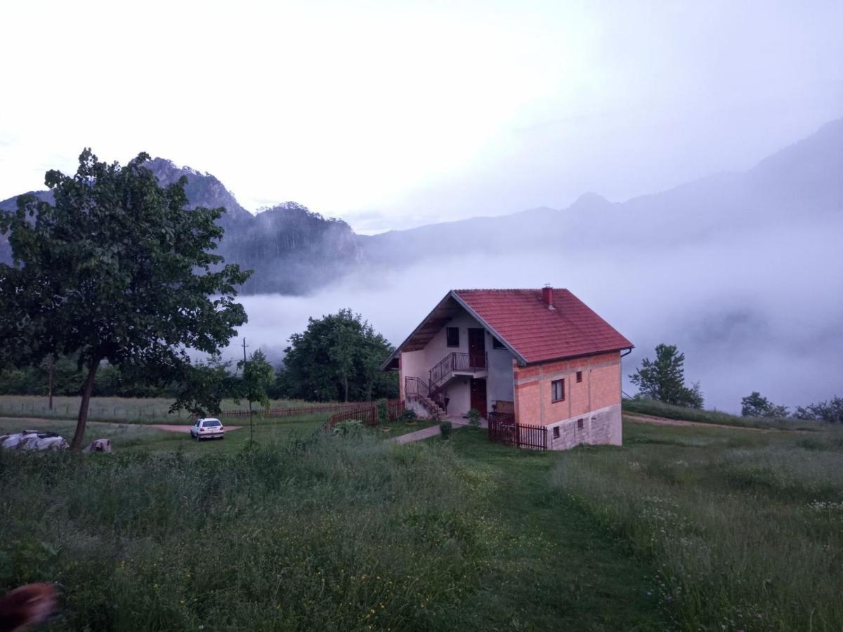 Family Owned Self Sufficient Eco Farm Tara Hotel Pljevlja Kültér fotó