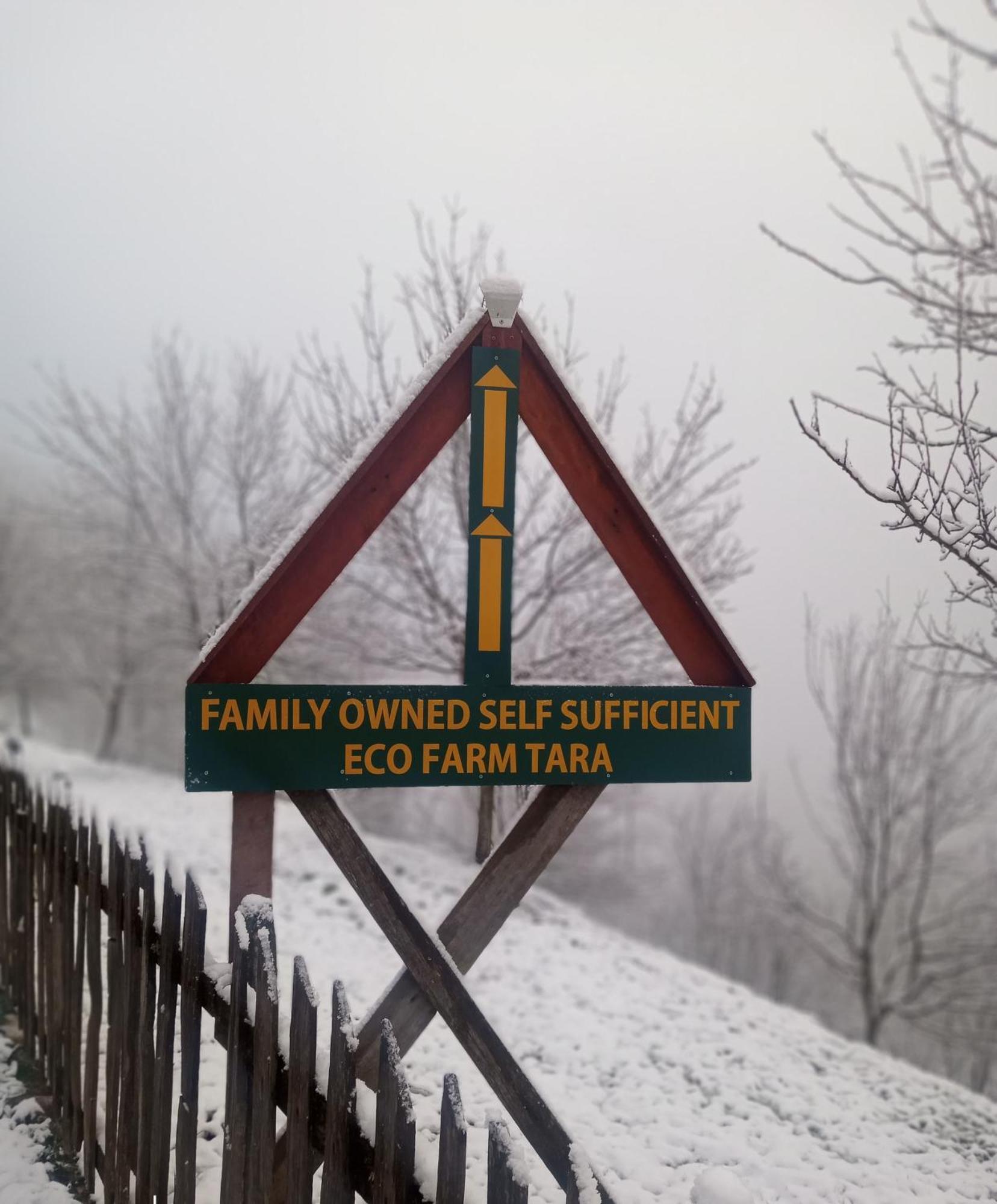 Family Owned Self Sufficient Eco Farm Tara Hotel Pljevlja Kültér fotó
