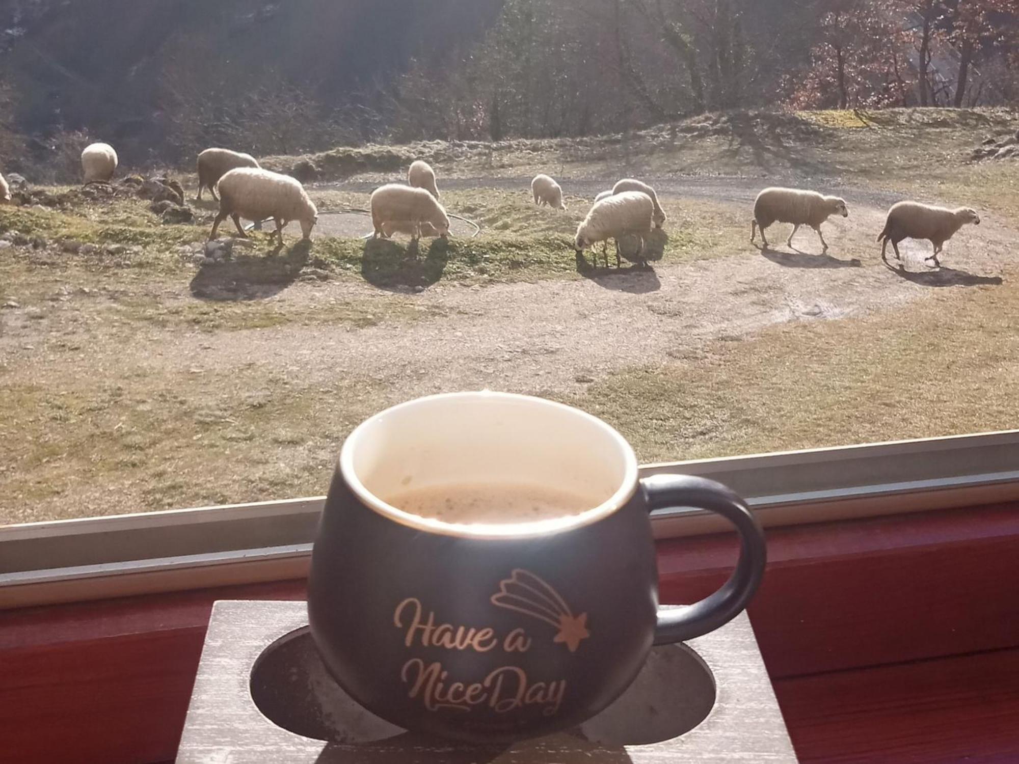 Family Owned Self Sufficient Eco Farm Tara Hotel Pljevlja Kültér fotó